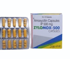 Zylomox Amoxicillin 500mg